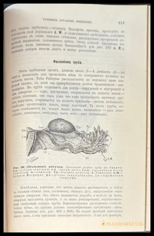Mаточныя кровотечения. 4-е издание (489) - Книга