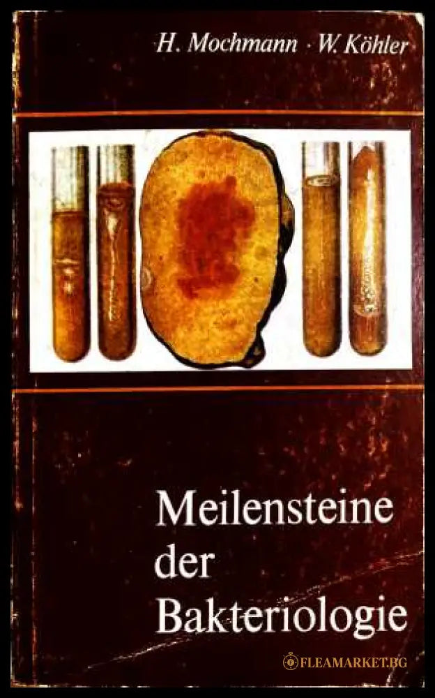 Meilensteine der Bakteriologie - H. Mochmann, W. Köhler