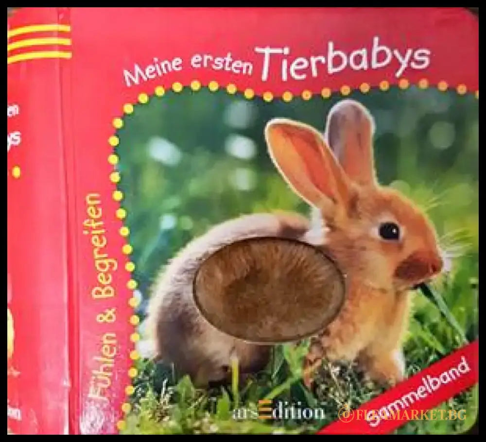 Meine ersten Tierbabys - Книги
