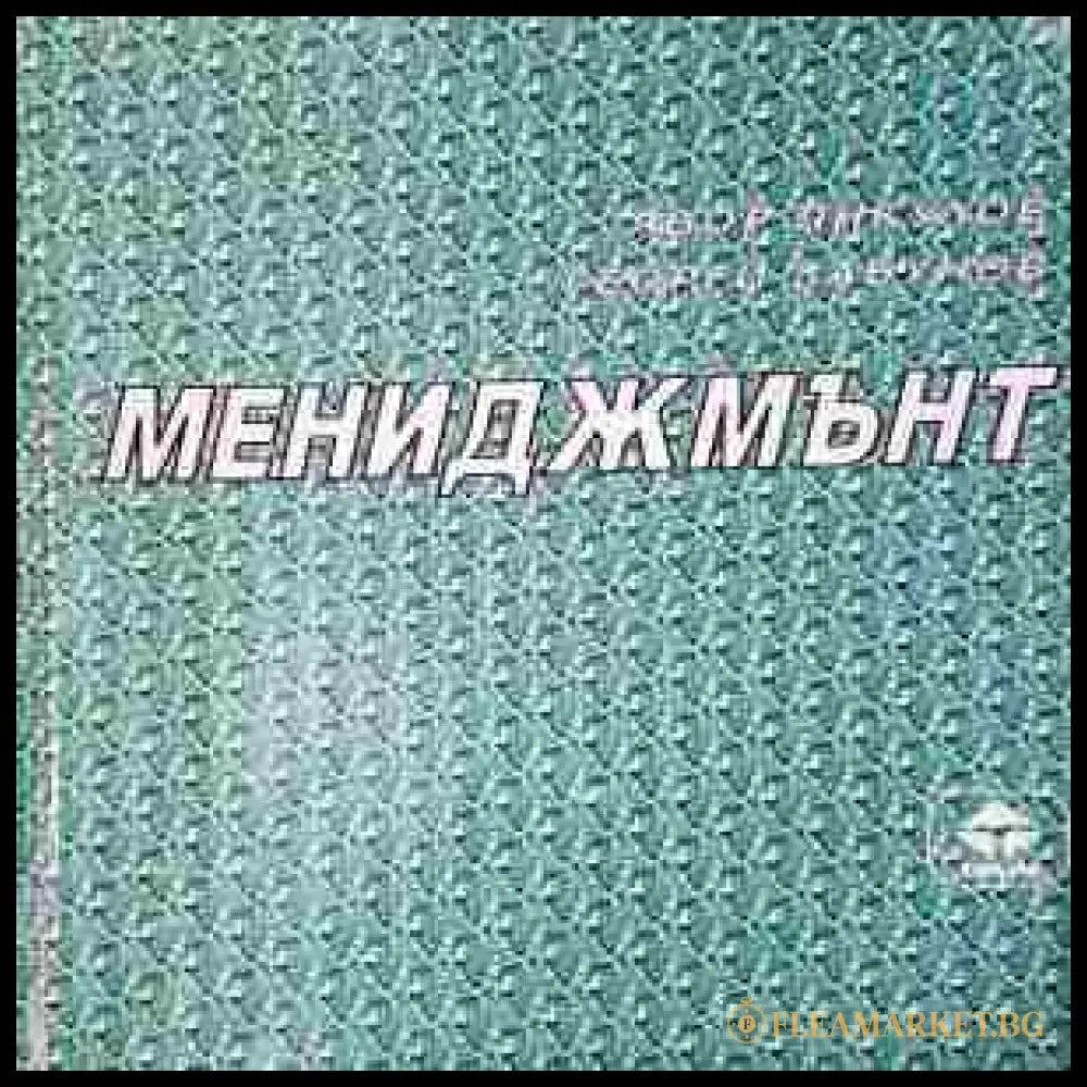 Мениджмънт (240807261844) - Явор Янкулов Георги Забунов - Книга