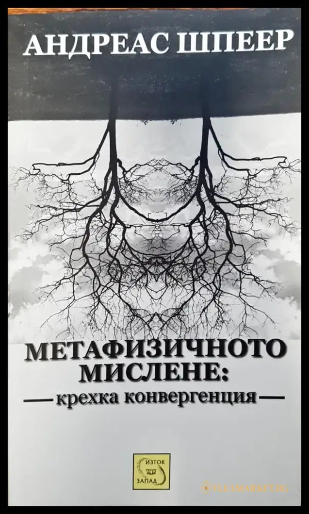 Метафизичното мислене: крехка конвергенция - Книги