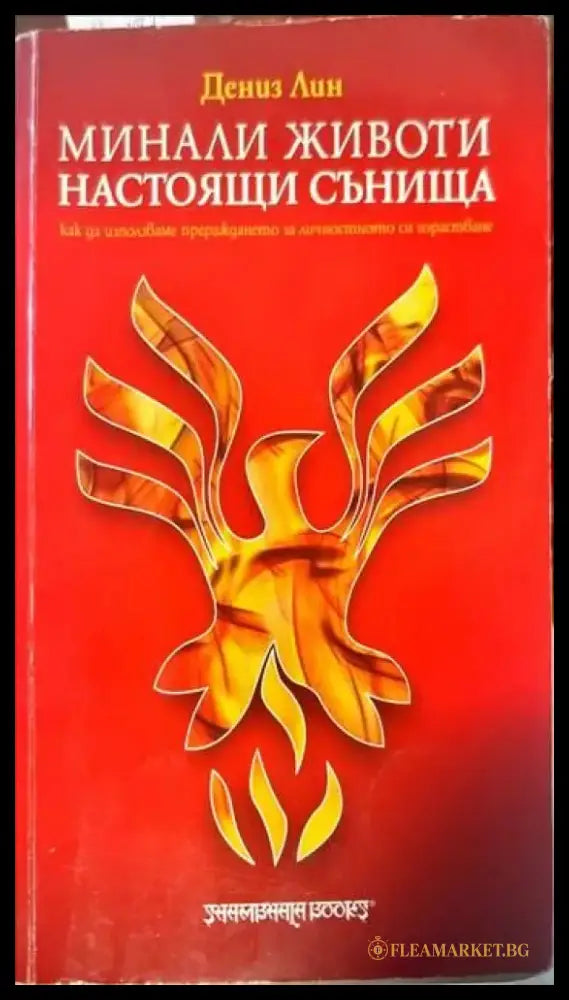 Минали животи настоящи сънища - Книги