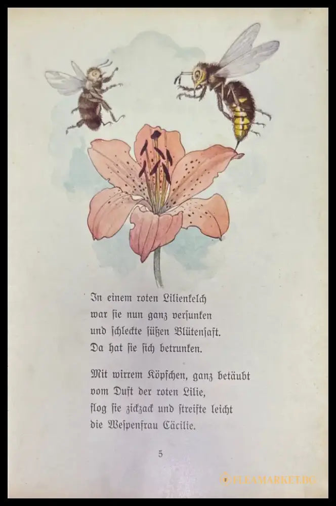 Minchen und Jaromir - Книги