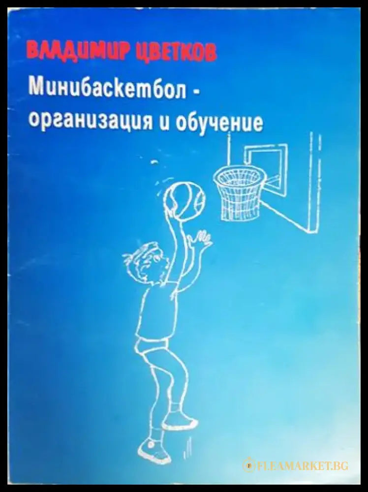 Минибаскетбол - организация и обучение (1109) - Книга