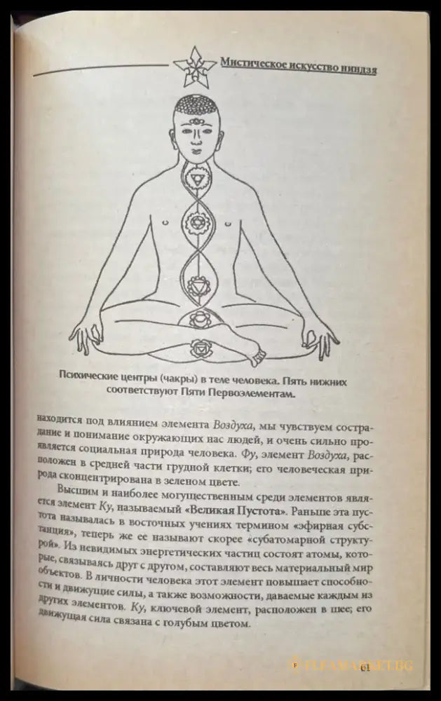 Мистическое искусство ниндзя (933) - Книга