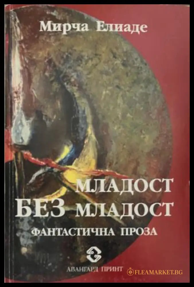 Корица на книгата „Младост без младост“