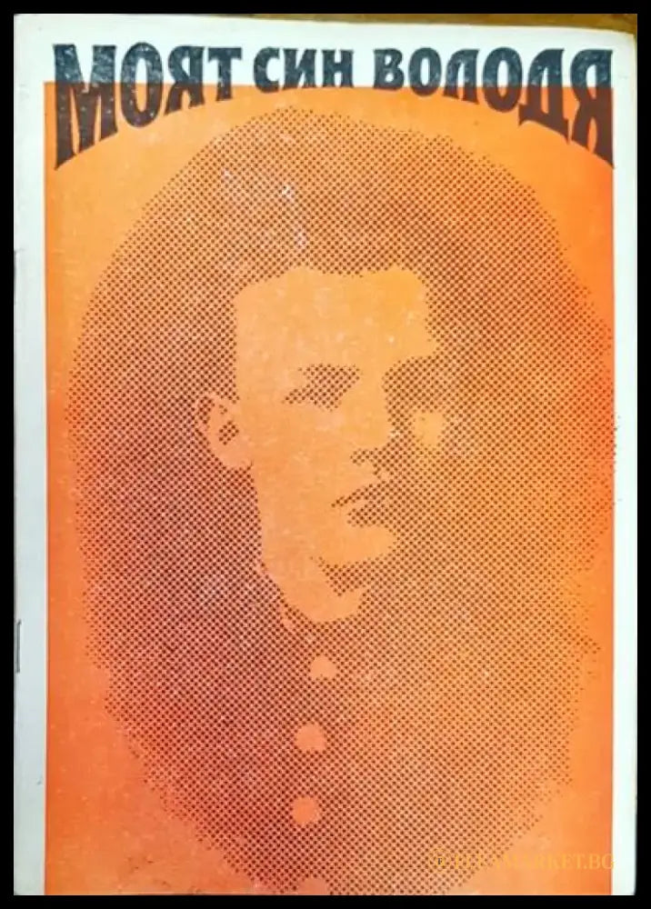 Моят син Володя - Книги