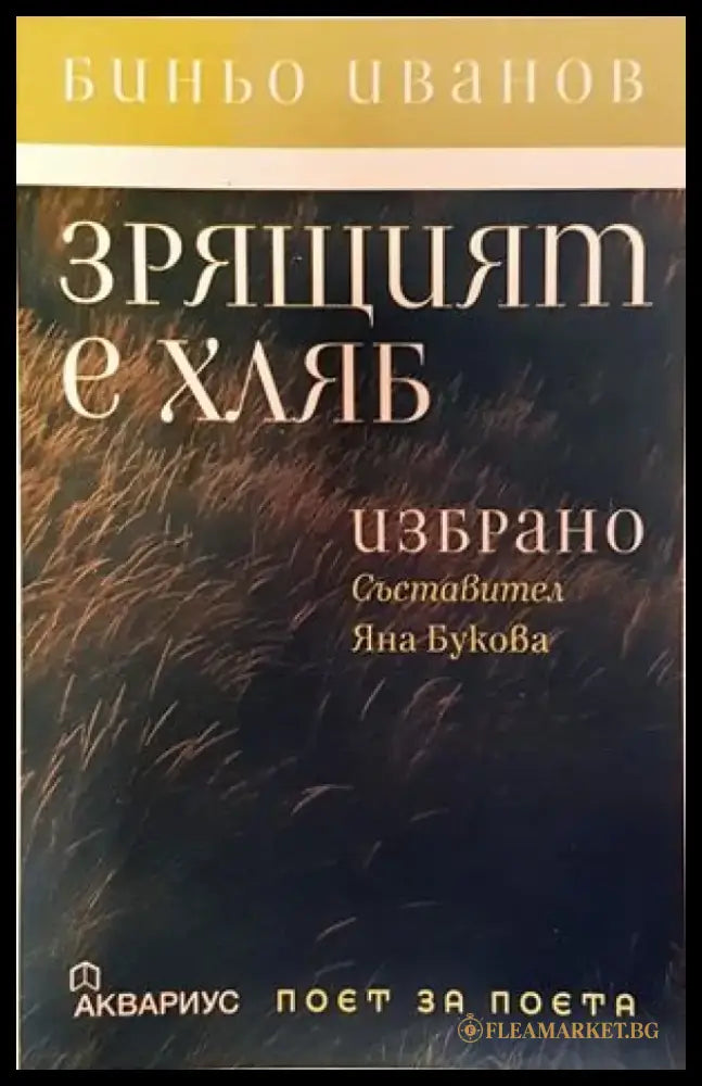 Мой словарь. Иврит-русский - Книги