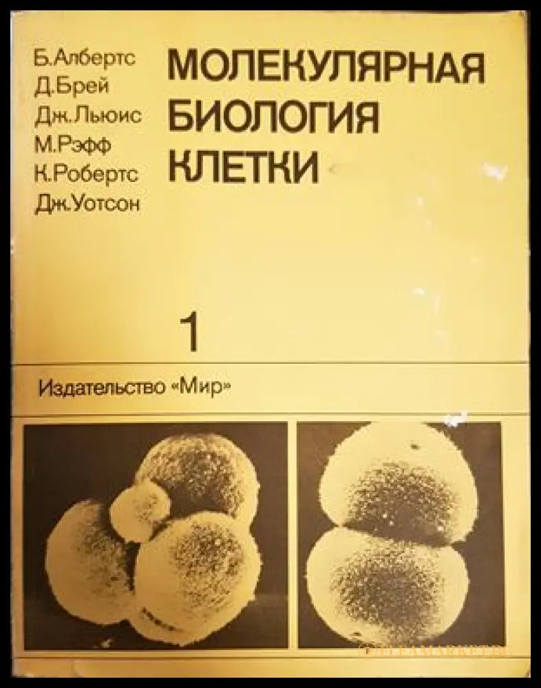 Молекулярная биология клетки. Том 1 - Албертс и др.