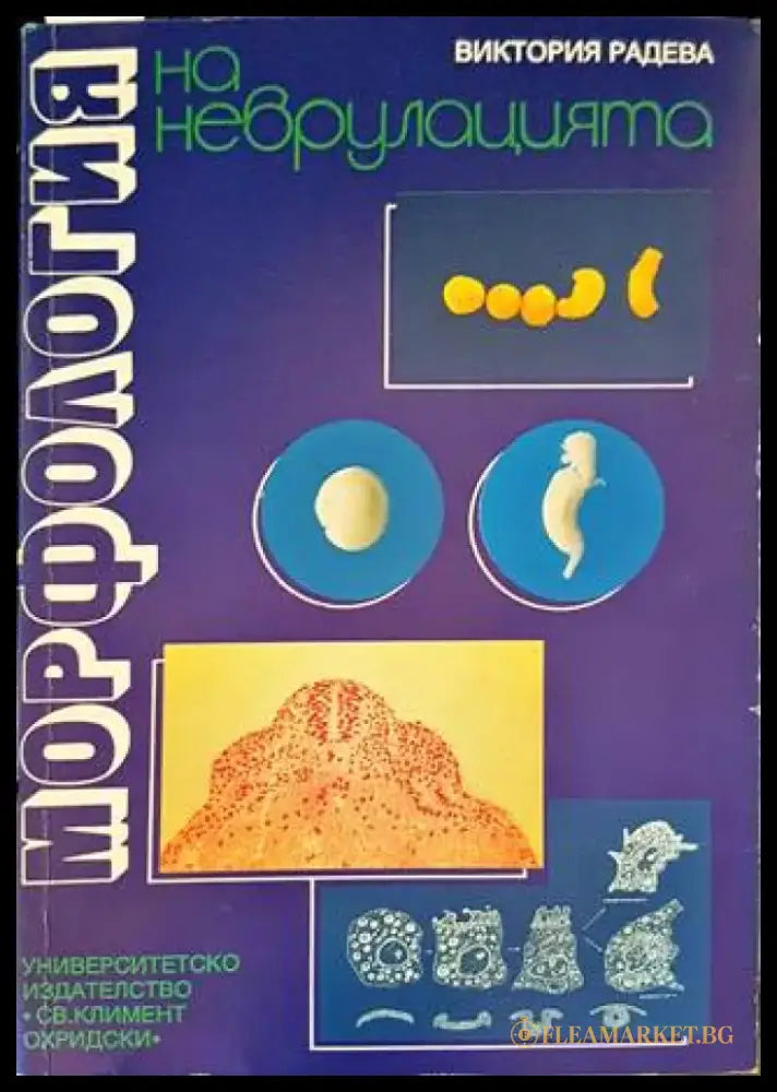 Морфология на неврулацията - Книги
