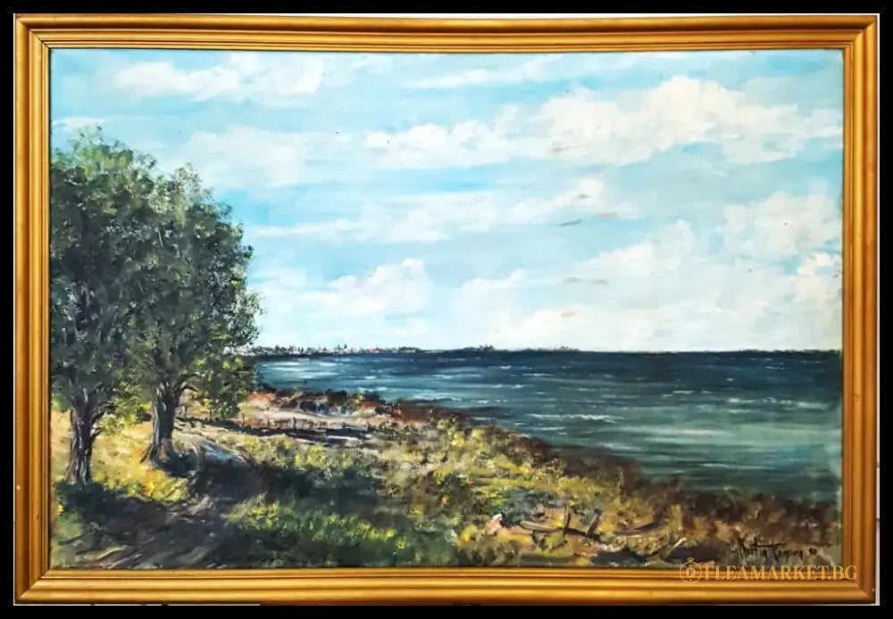 Морски пейзаж- масло от Martin Thomsen- 1990 година (1220) - Картина