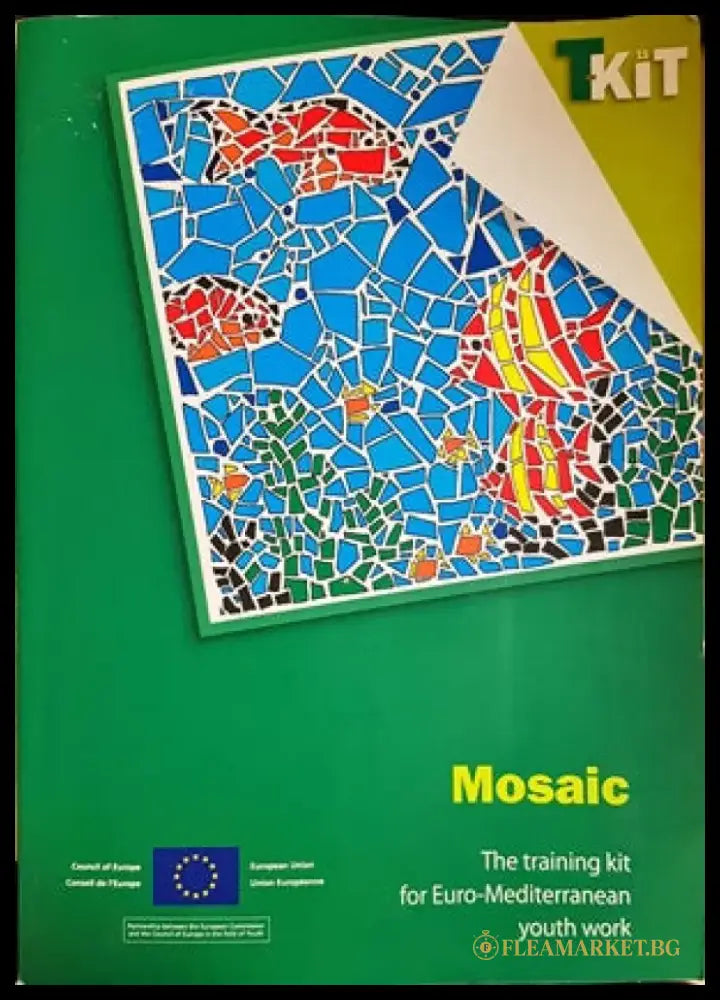 Mosaic: The training kit for Euro-Mediterranean youth work - Книги