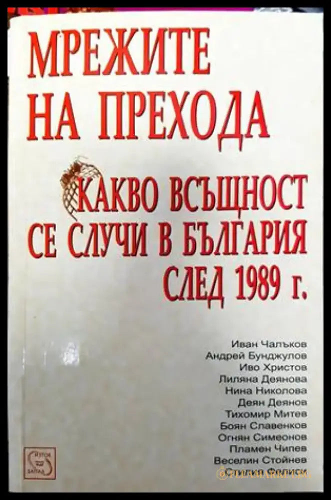 Мрежите на прехода: Какво всъщност се случи в България след 1989 г. - Книги