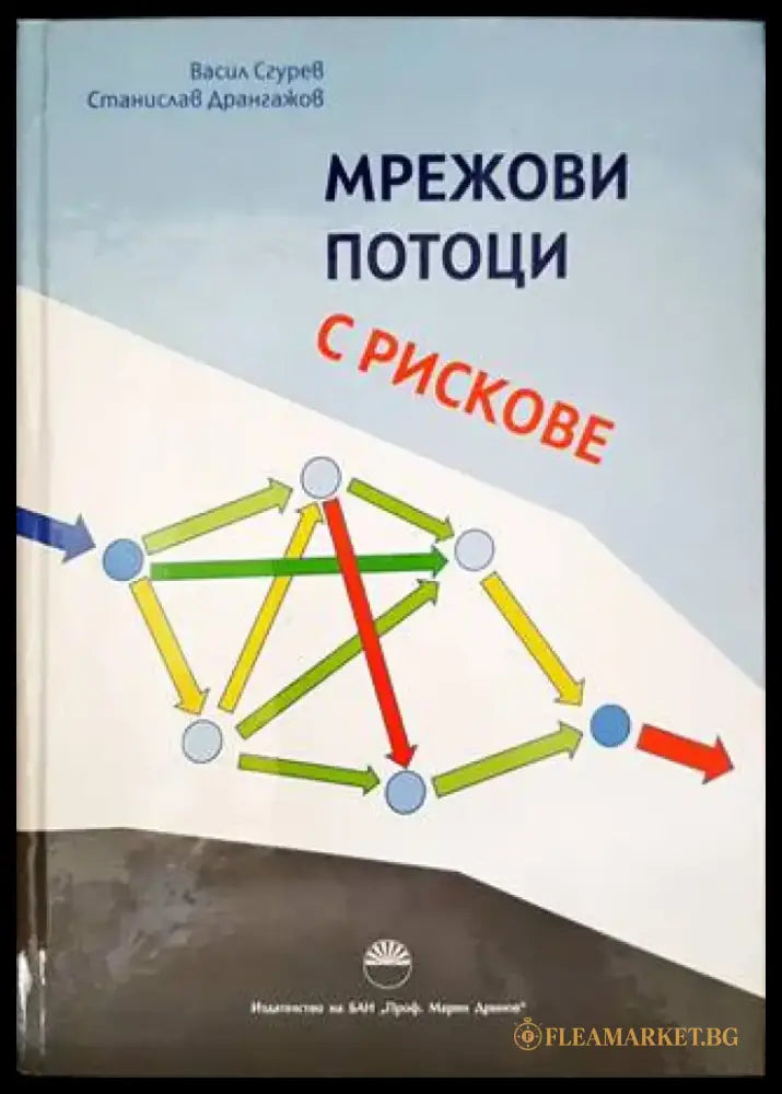 Мрежови потоци с рискове - Книги