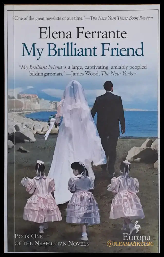 My Brilliant Friend - Книги