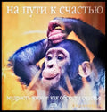 На пути к счастью (51) - Книга