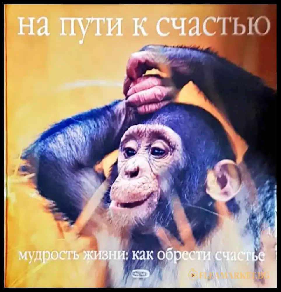 На пути к счастью (51) - Книга