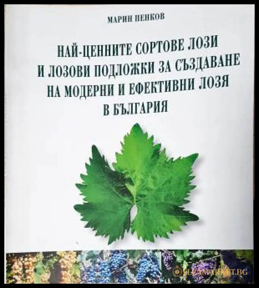 Най-ценните сортове лози и лозови подложки за създаване на модерни и ефективни лозя в България (351805261554) - Марин