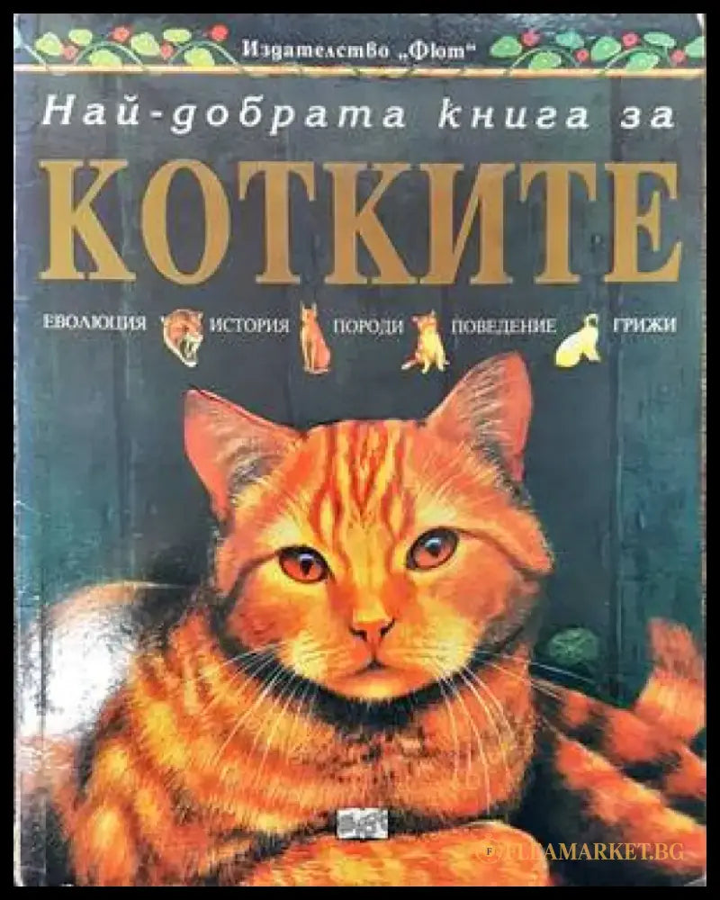 Най-добрата книга за котките - Книги