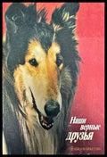Наши верные друзья - Книги