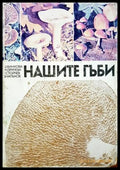 Нашите гъби - Хинкова, Друмева, Стойчев, Чалъков