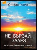 Не бързай залез (182206263026) - Стефан Риков - Книга