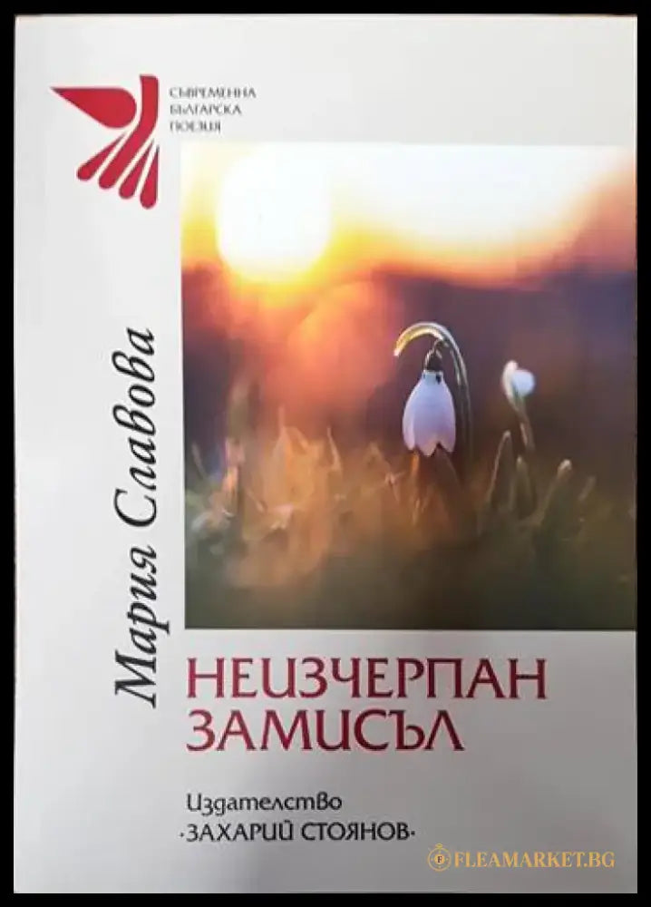 Неизчерпан замисъл - Книги