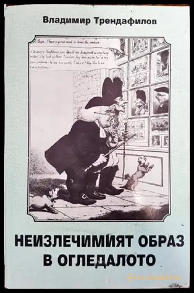 Неизлечимият образ в огледалото (243) - Книга