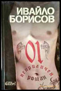 Неприличен роман - Книги