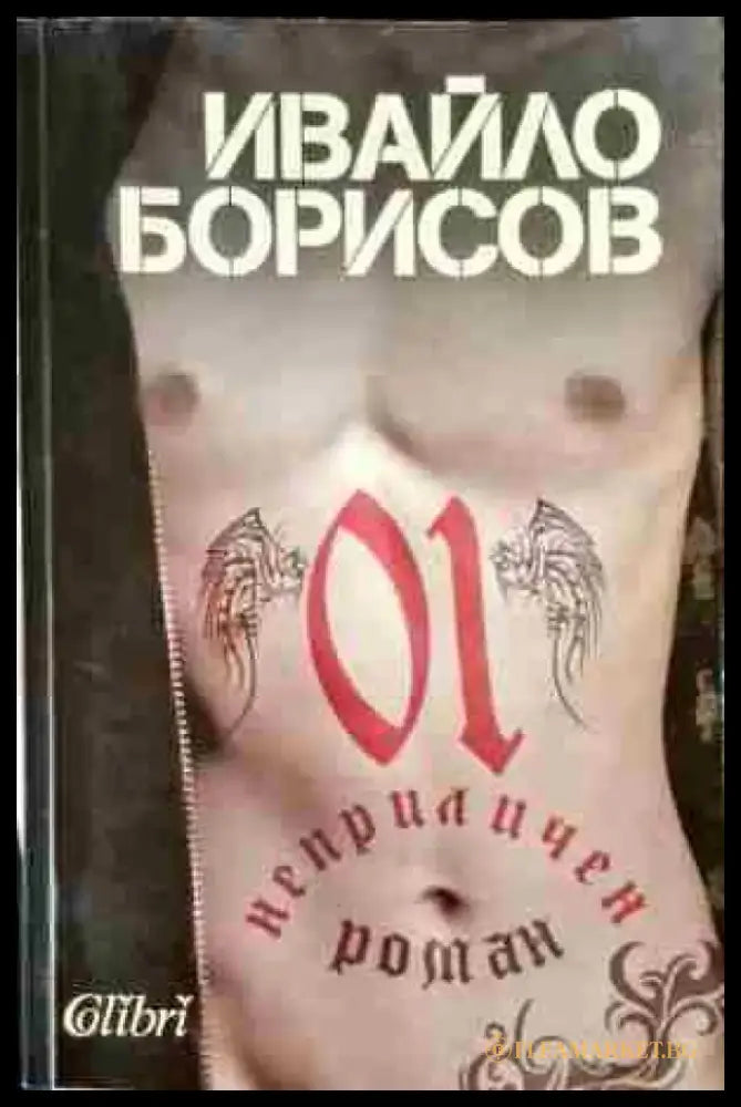 Неприличен роман - Книги
