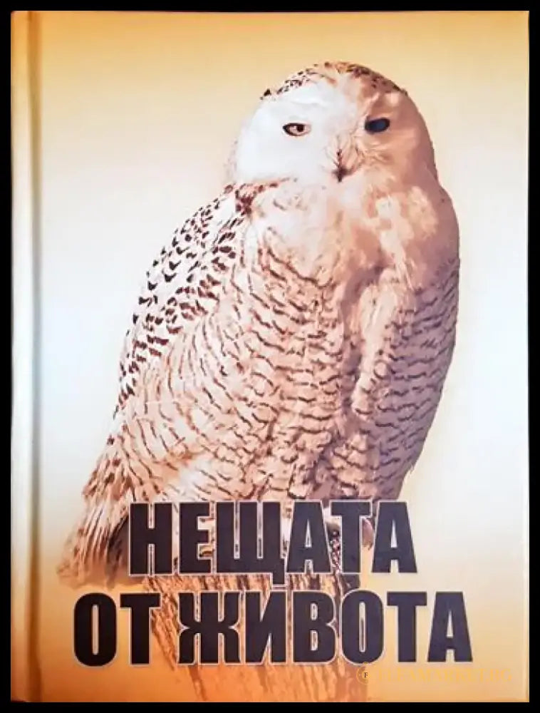 Нещата от живота (50) - Книга