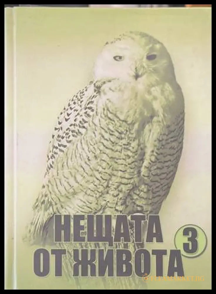 Нещата от живота Книга 3 - корица