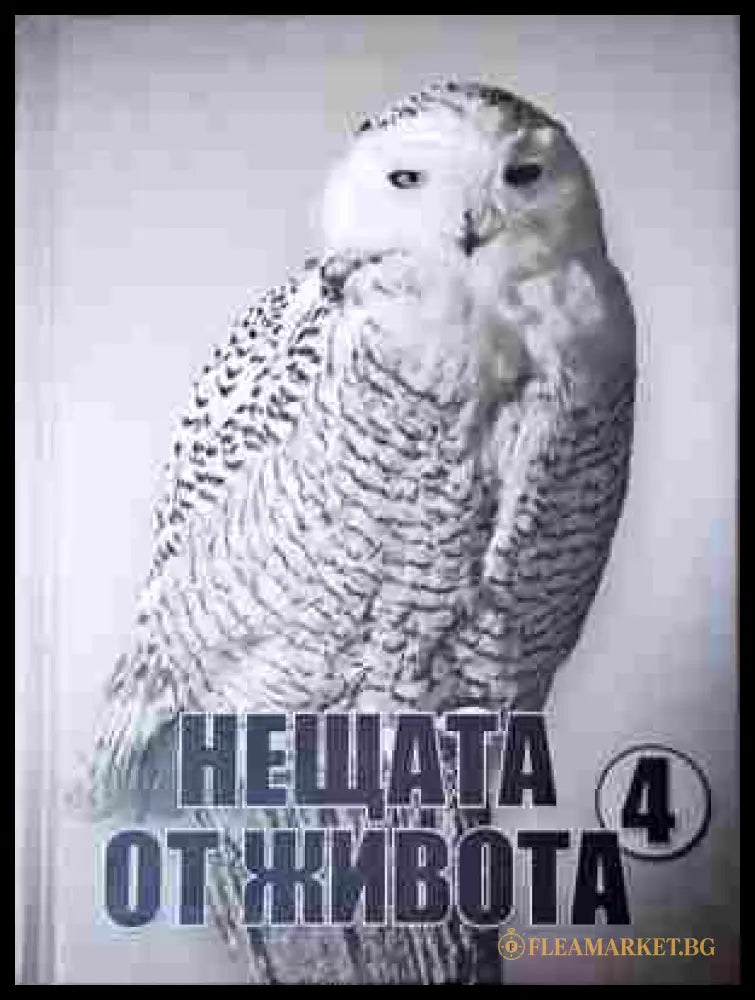 Нещата от живота. Книга 4 - корица