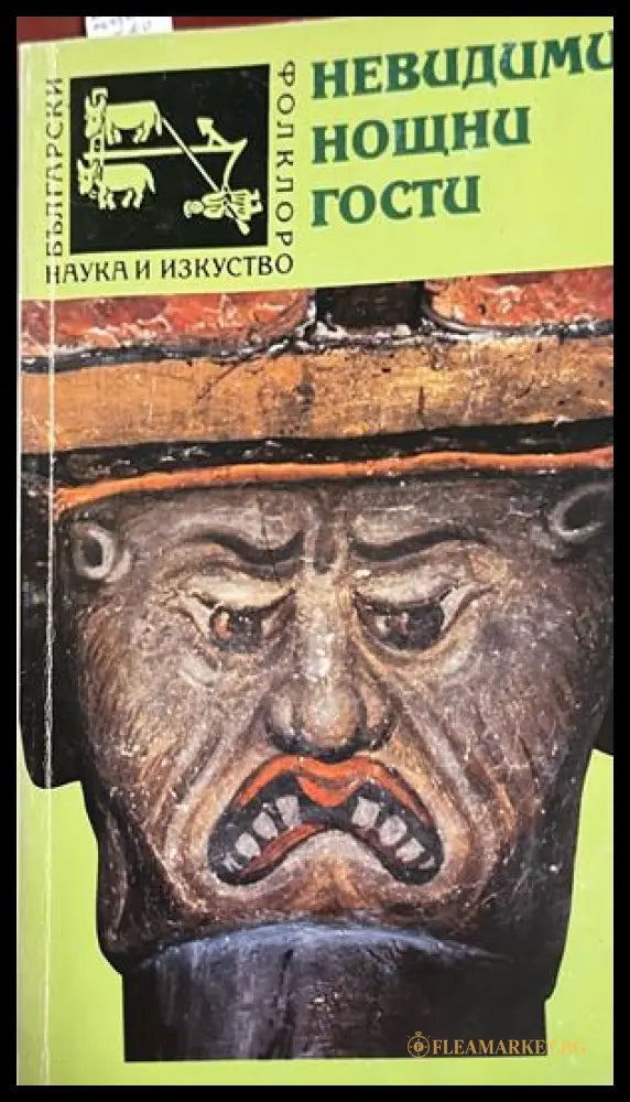 Невидими нощни гости (332509261506) - Евгения Мицева - Книга