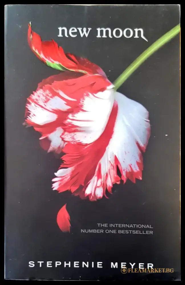New moon - Книги