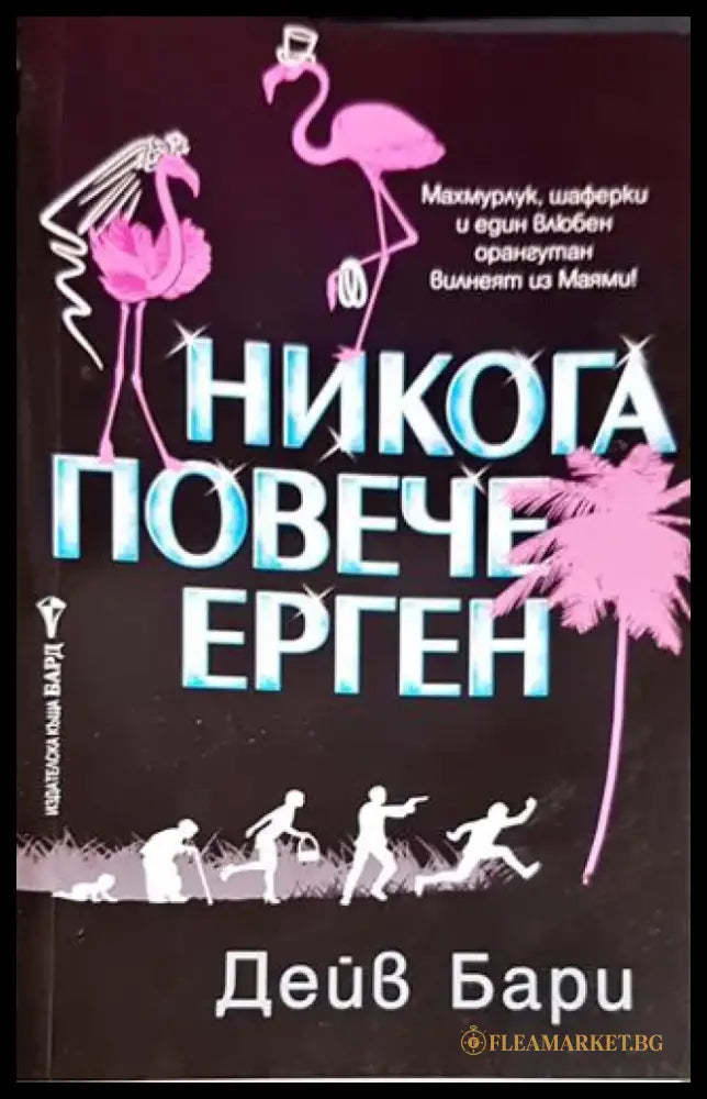 Никога повече ерген - Книги