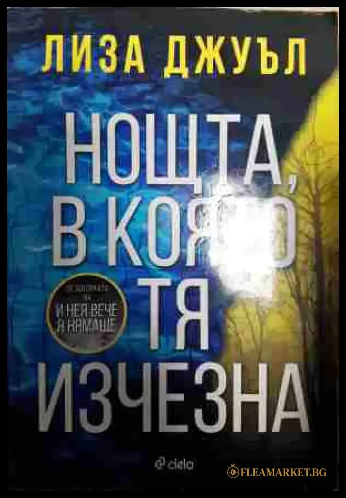 Нощта в която тя изчезна - Книга