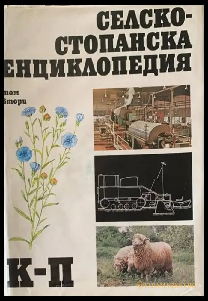 Од блузот до музичката авангарда - Книги