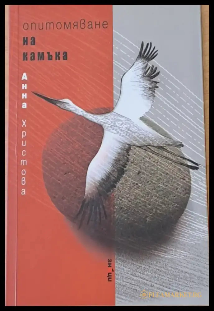 Опитомяване на камъка - Книги