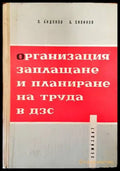 Организация заплащане и планиране на труда в ДЗС - Книги