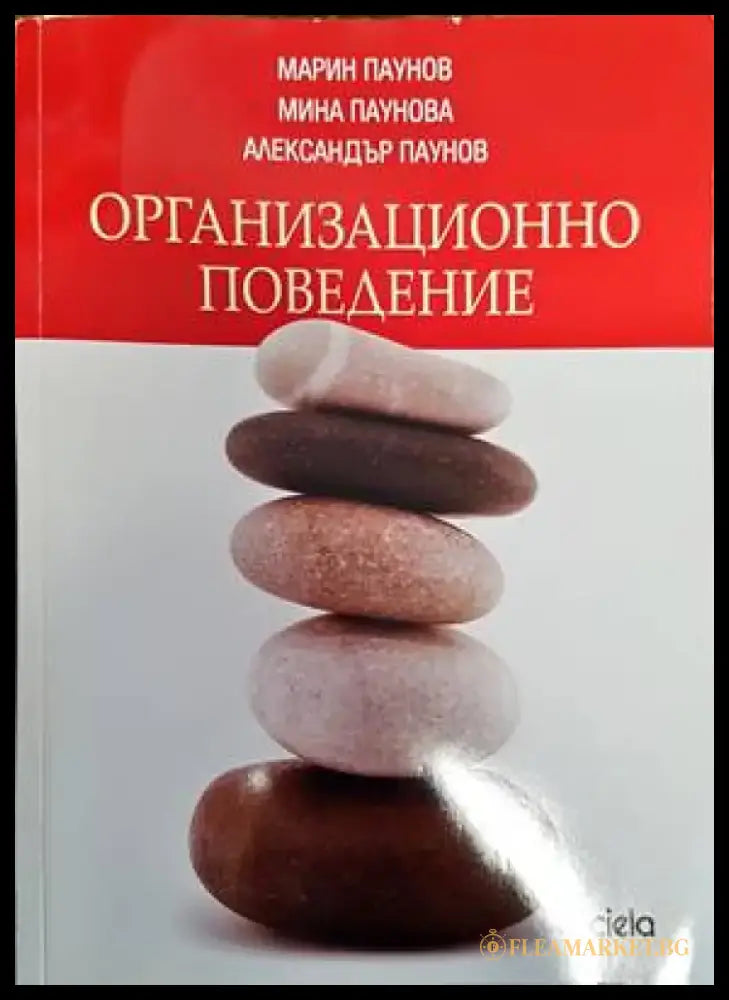 Организационно поведение (876) - Книга