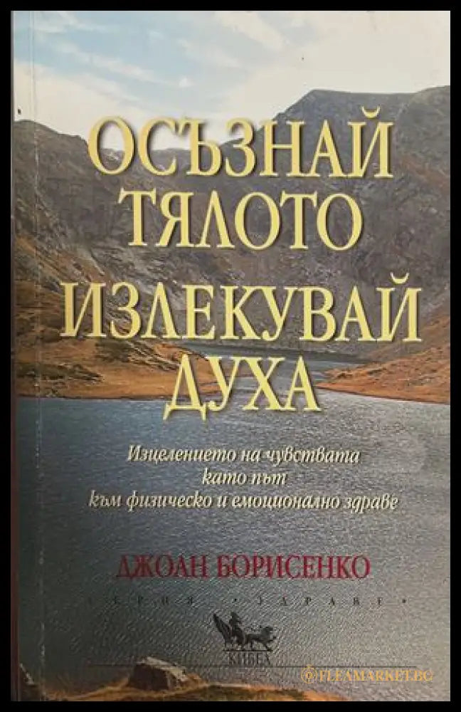 Осъзнай тялото, излекувай духа - Джоан Борисенко