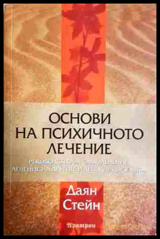 Основи на психичното лечение - Даян Стейн