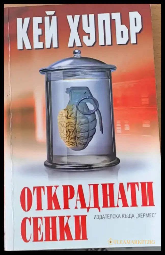 Откраднати сенки - Книги