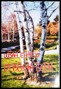 Отвесна есен (331806262022) - Иван Енчев - Книга
