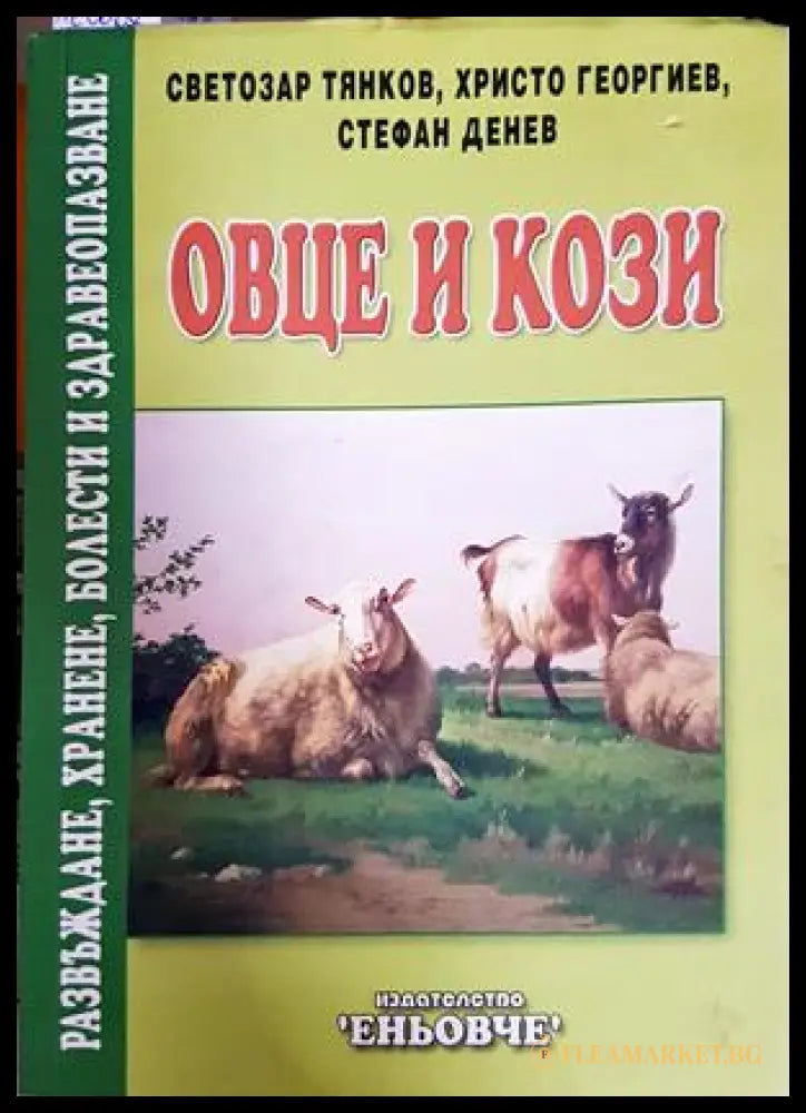 Овце и кози