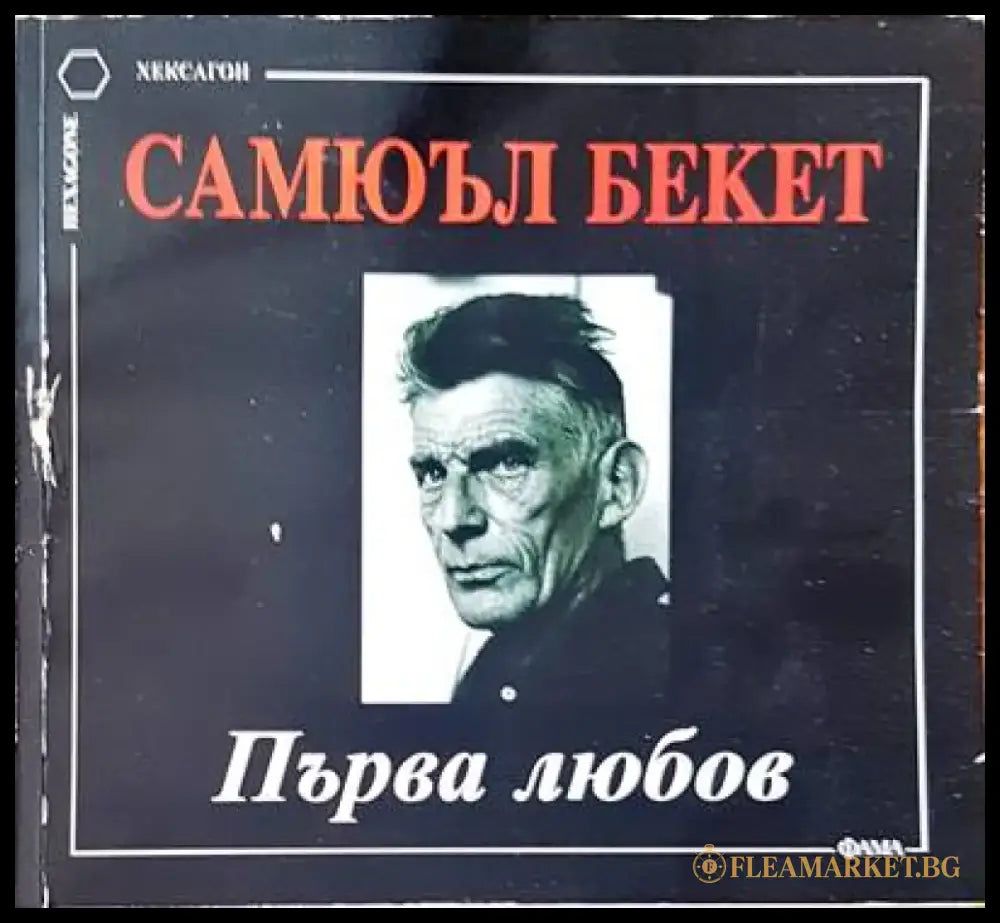 Първа любов - Книги