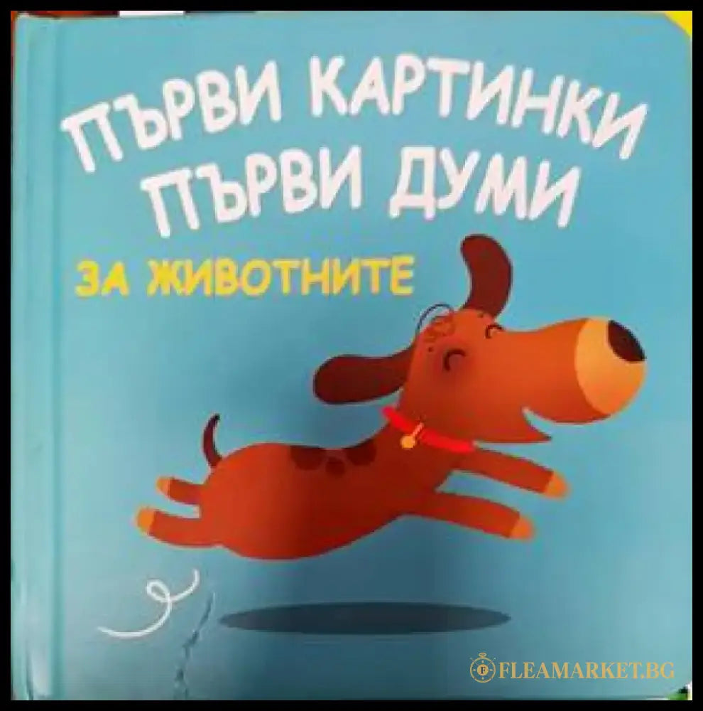 Първи картинки. Първи думи. - Книги
