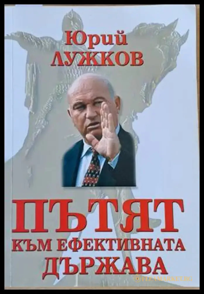 Пътят към ефективната държава - Книги