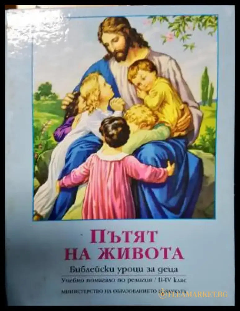 Пътят на живота. Библейски уроци за деца (1479) - Книга